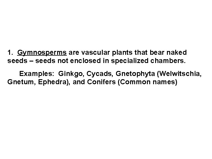 1. Gymnosperms are vascular plants that bear naked seeds – seeds not enclosed in