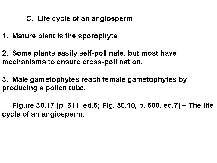  C. Life cycle of an angiosperm 1. Mature plant is the sporophyte 2.