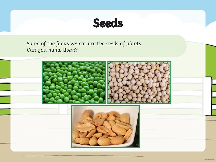 Seeds Some of the foods we eat are the seeds of plants. Can you