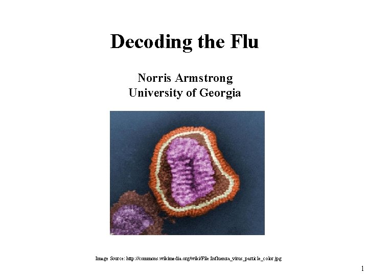 Decoding the Flu Norris Armstrong University of Georgia Image Source: http: //commons. wikimedia. org/wiki/File: