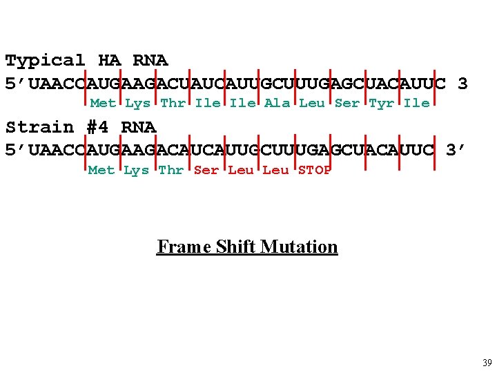 Typical HA RNA 5’UAACCAUGAAGACUAUCAUUGCUUUGAGCUACAUUC 3 Met Lys Thr Ile Ala Leu Ser Tyr Ile