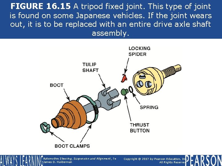 FIGURE 16. 15 A tripod fixed joint. This type of joint is found on