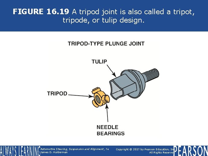 FIGURE 16. 19 A tripod joint is also called a tripot, tripode, or tulip