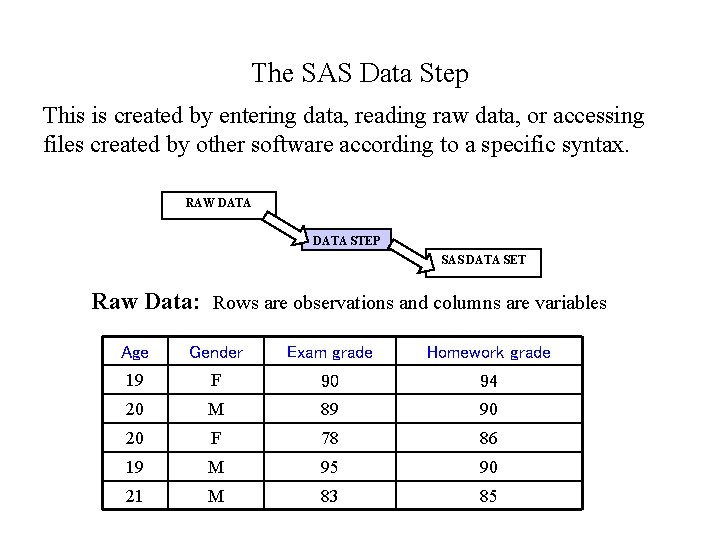 The SAS Data Step This is created by entering data, reading raw data, or