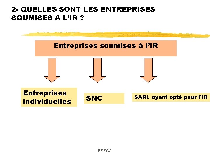 2 - QUELLES SONT LES ENTREPRISES SOUMISES A L’IR ? Entreprises soumises à l’IR 2 - QUELLES SONT LES ENTREPRISES SOUMISES A L’IR ? Entreprises soumises à l’IR