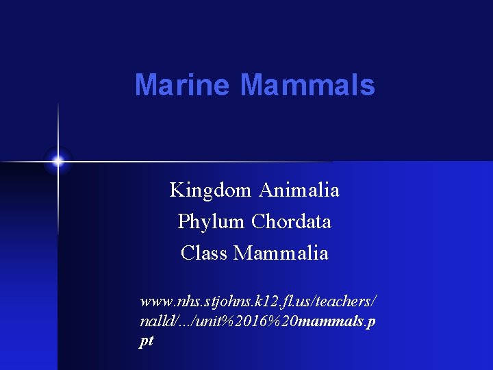 Marine Mammals Kingdom Animalia Phylum Chordata Class Mammalia www. nhs. stjohns. k 12. fl.