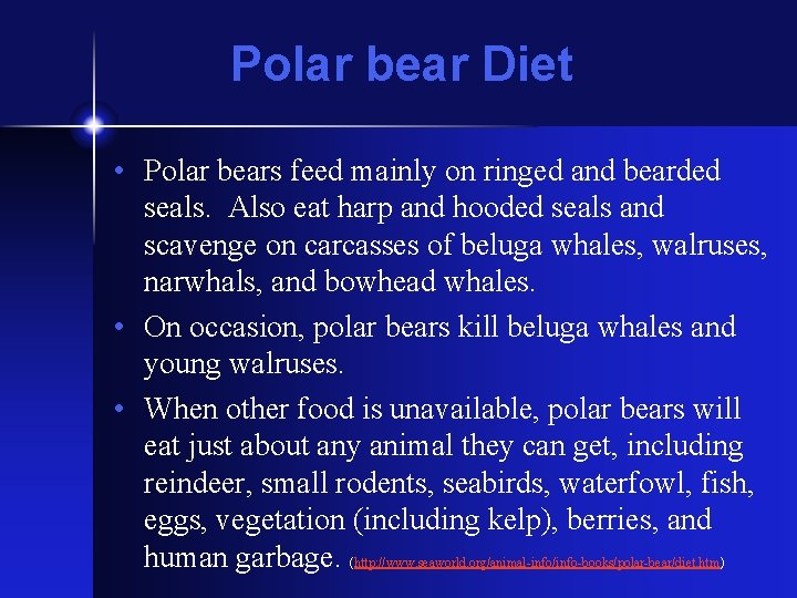Polar bear Diet • Polar bears feed mainly on ringed and bearded seals. Also