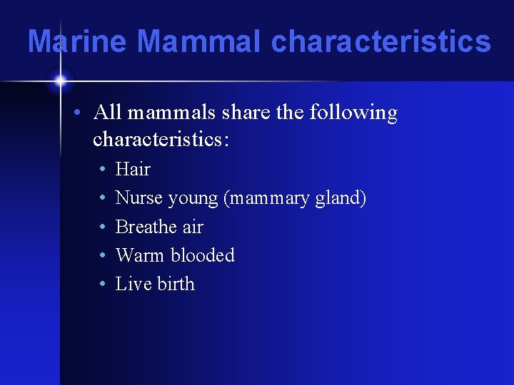 Marine Mammal characteristics • All mammals share the following characteristics: • • • Hair