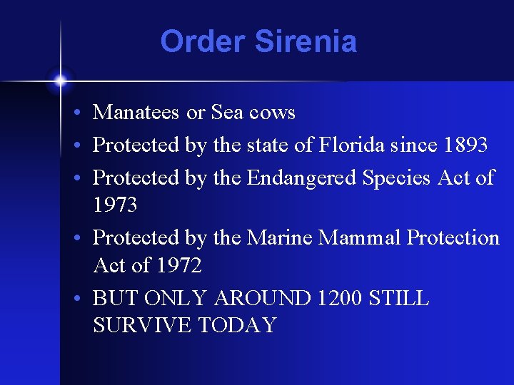 Order Sirenia • Manatees or Sea cows • Protected by the state of Florida