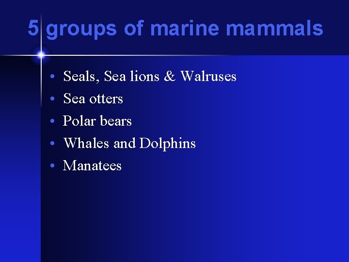 5 groups of marine mammals • • • Seals, Sea lions & Walruses Sea