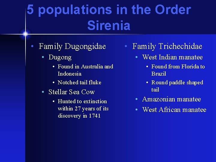 5 populations in the Order Sirenia • Family Dugongidae • Dugong • Found in