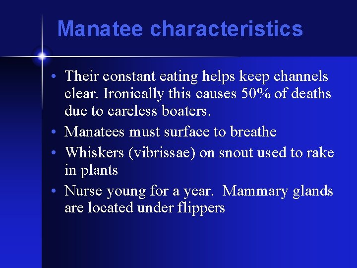 Manatee characteristics • Their constant eating helps keep channels clear. Ironically this causes 50%