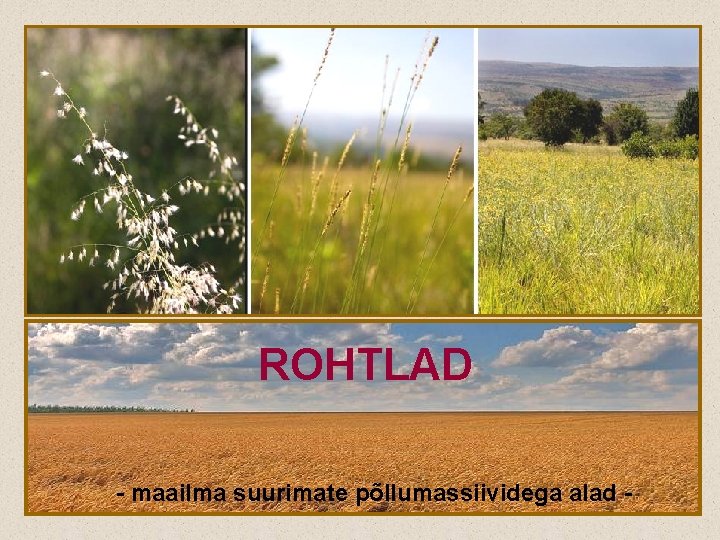 ROHTLAD - maailma suurimate põllumassiividega alad - 