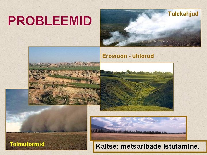 Tulekahjud PROBLEEMID Erosioon - uhtorud Tolmutormid Kaitse: metsaribade istutamine. 