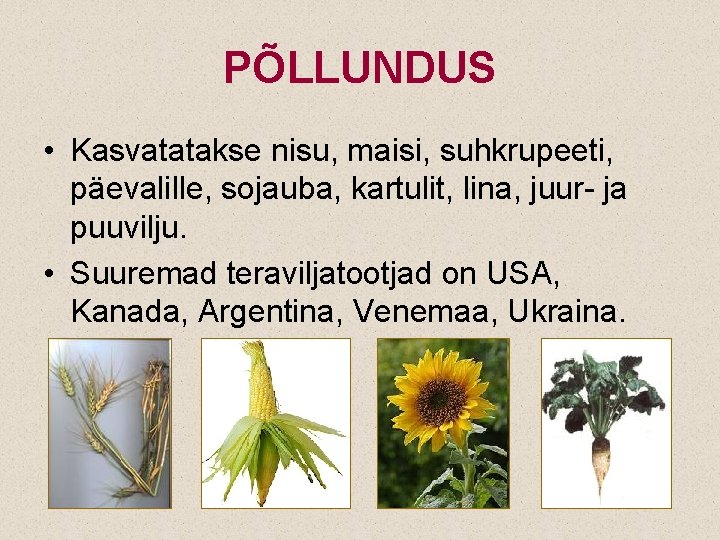 PÕLLUNDUS • Kasvatatakse nisu, maisi, suhkrupeeti, päevalille, sojauba, kartulit, lina, juur- ja puuvilju. •