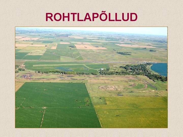 ROHTLAPÕLLUD 