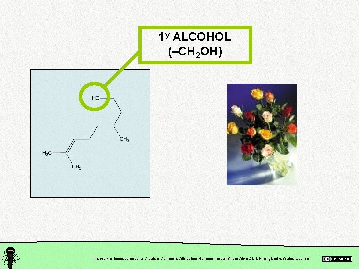 1 y ALCOHOL (–CH 2 OH) This work is licensed under a Creative Commons