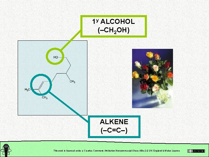1 y ALCOHOL (–CH 2 OH) ALKENE (–C=C–) This work is licensed under a