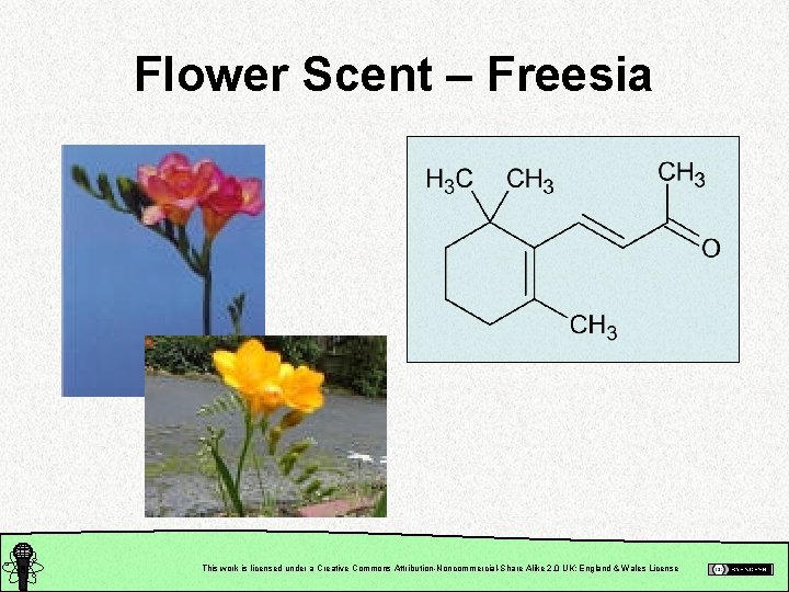 Flower Scent – Freesia This work is licensed under a Creative Commons Attribution-Noncommercial-Share Alike