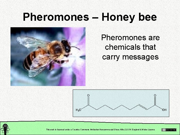 Pheromones – Honey bee Pheromones are chemicals that carry messages This work is licensed