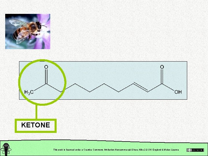 KETONE This work is licensed under a Creative Commons Attribution-Noncommercial-Share Alike 2. 0 UK: