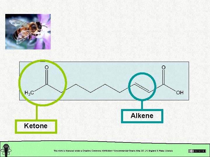 Alkene Ketone This work is licensed under a Creative Commons Attribution-Noncommercial-Share Alike 2. 0