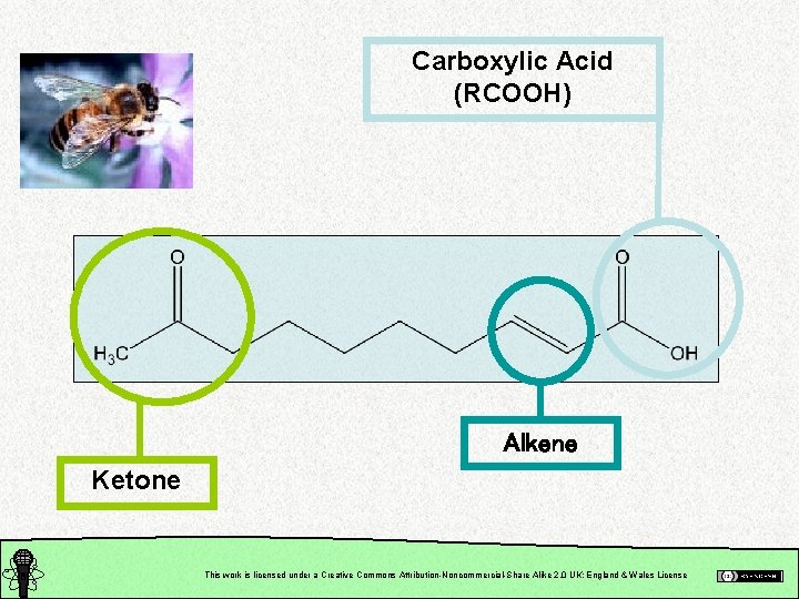 Carboxylic Acid (RCOOH) Alkene Ketone This work is licensed under a Creative Commons Attribution-Noncommercial-Share
