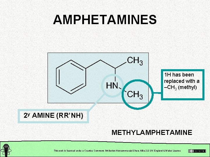 AMPHETAMINES 1 H has been replaced with a –CH 3 (methyl) 2 y AMINE