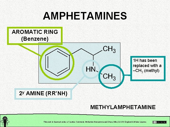 AMPHETAMINES AROMATIC RING (Benzene) 1 H has been replaced with a –CH 3 (methyl)