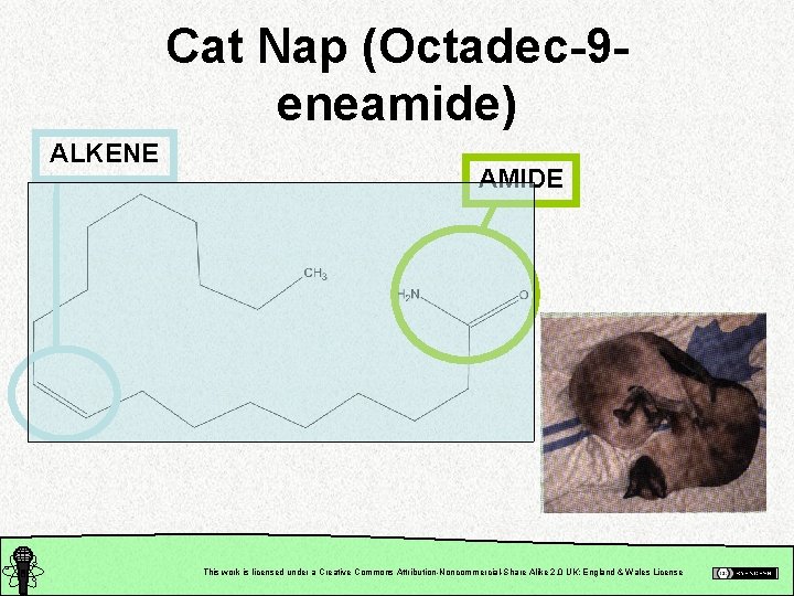 Cat Nap (Octadec-9 eneamide) ALKENE AMIDE This work is licensed under a Creative Commons