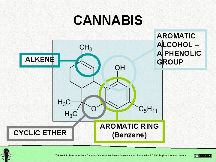 CANNABIS AROMATIC ALCOHOL – A PHENOLIC GROUP ALKENE CYCLIC ETHER AROMATIC RING (Benzene) This