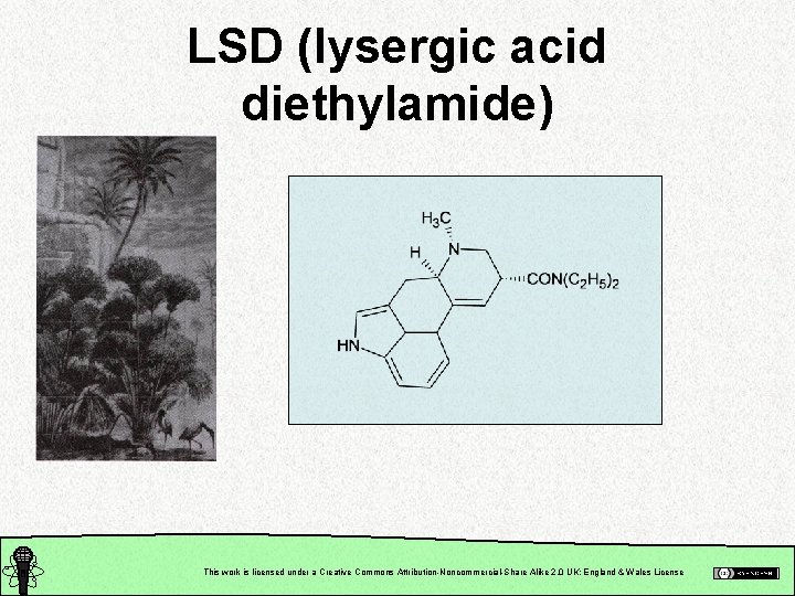 LSD (lysergic acid diethylamide) This work is licensed under a Creative Commons Attribution-Noncommercial-Share Alike