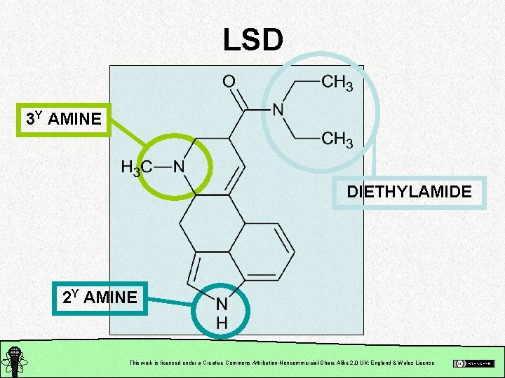 LSD 3 Y AMINE DIETHYLAMIDE 2 Y AMINE This work is licensed under a