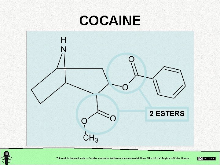 COCAINE 2 ESTERS This work is licensed under a Creative Commons Attribution-Noncommercial-Share Alike 2.