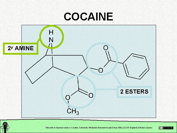 COCAINE 2 y AMINE 2 ESTERS This work is licensed under a Creative Commons