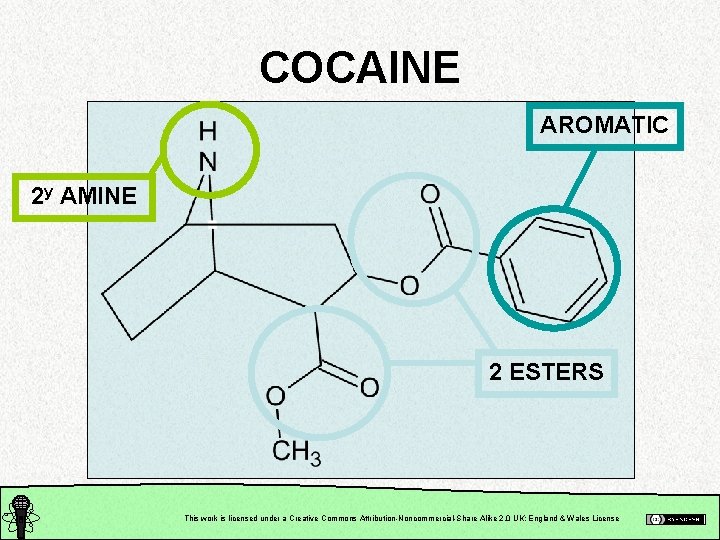 COCAINE AROMATIC 2 y AMINE 2 ESTERS This work is licensed under a Creative