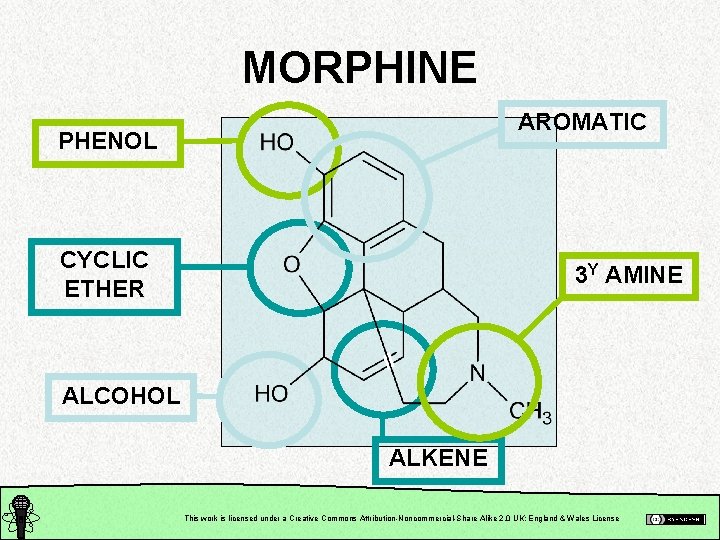 MORPHINE AROMATIC PHENOL CYCLIC ETHER 3 Y AMINE ALCOHOL ALKENE This work is licensed