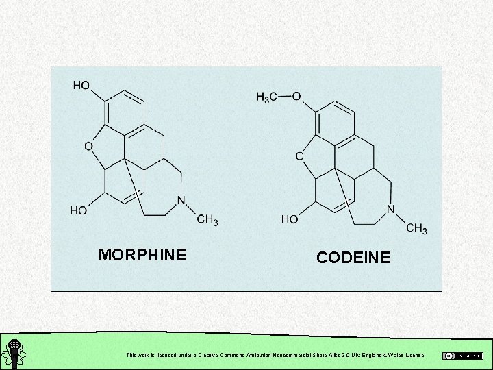 MORPHINE CODEINE This work is licensed under a Creative Commons Attribution-Noncommercial-Share Alike 2. 0