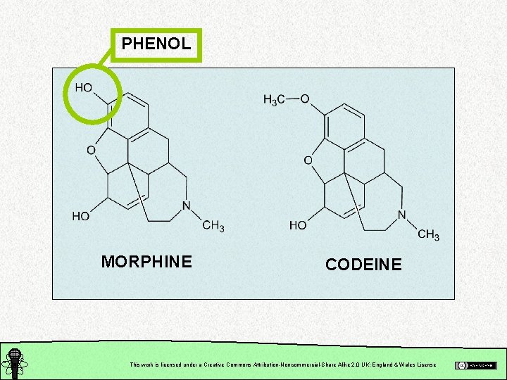 PHENOL MORPHINE CODEINE This work is licensed under a Creative Commons Attribution-Noncommercial-Share Alike 2.