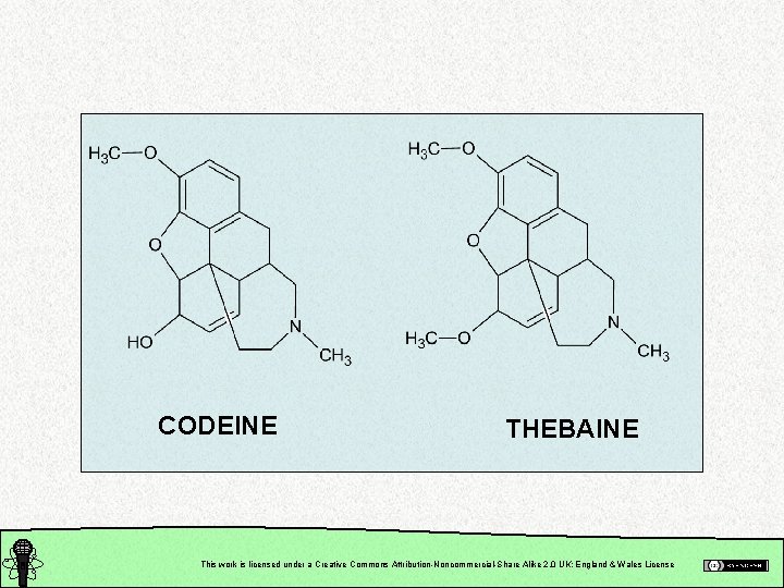 CODEINE THEBAINE This work is licensed under a Creative Commons Attribution-Noncommercial-Share Alike 2. 0