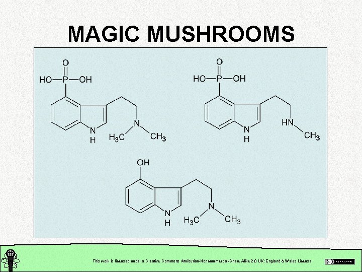 MAGIC MUSHROOMS This work is licensed under a Creative Commons Attribution-Noncommercial-Share Alike 2. 0
