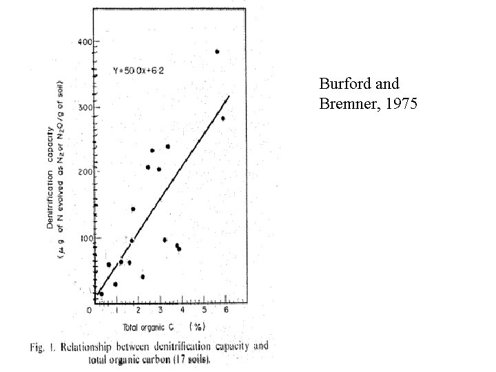 Burford and Bremner, 1975 