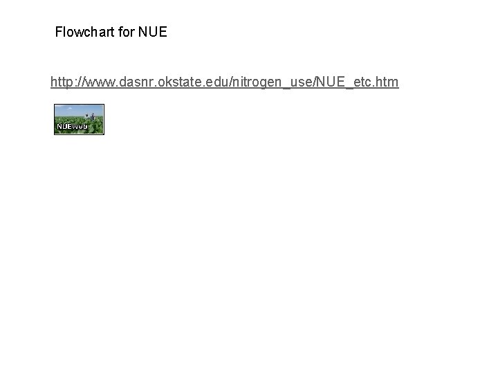 Flowchart for NUE http: //www. dasnr. okstate. edu/nitrogen_use/NUE_etc. htm 