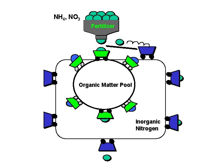 NH 4, NO 3 Fertilizer Organic Matter Pool Inorganic Nitrogen 