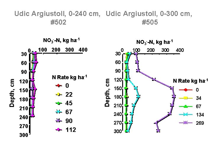 Udic Argiustoll, 0 -240 cm, Udic Argiustoll, 0 -300 cm, #502 #505 NO 3