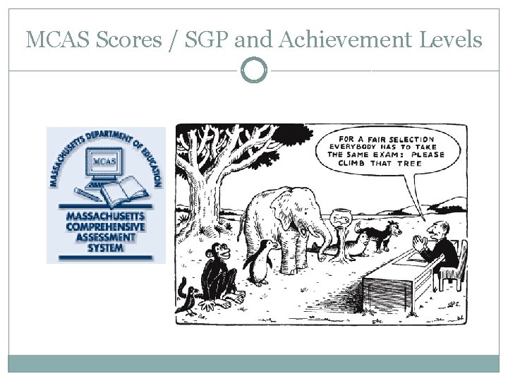 MCAS Scores / SGP and Achievement Levels 