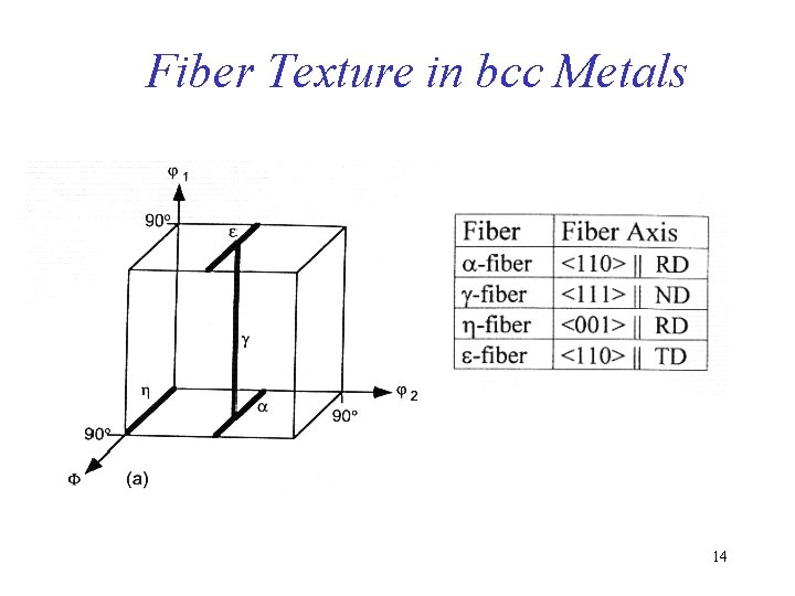 Fiber Texture in bcc Metals 14 