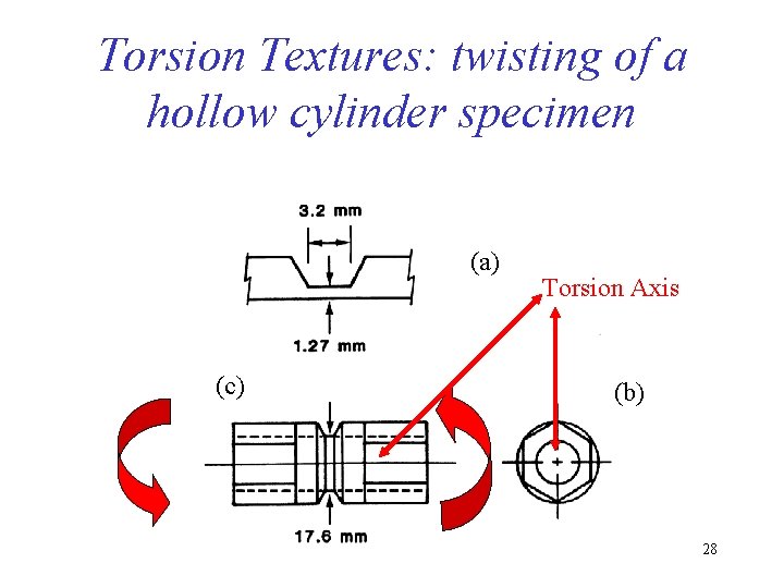 Torsion Textures: twisting of a hollow cylinder specimen (a) (c) Torsion Axis (b) 28