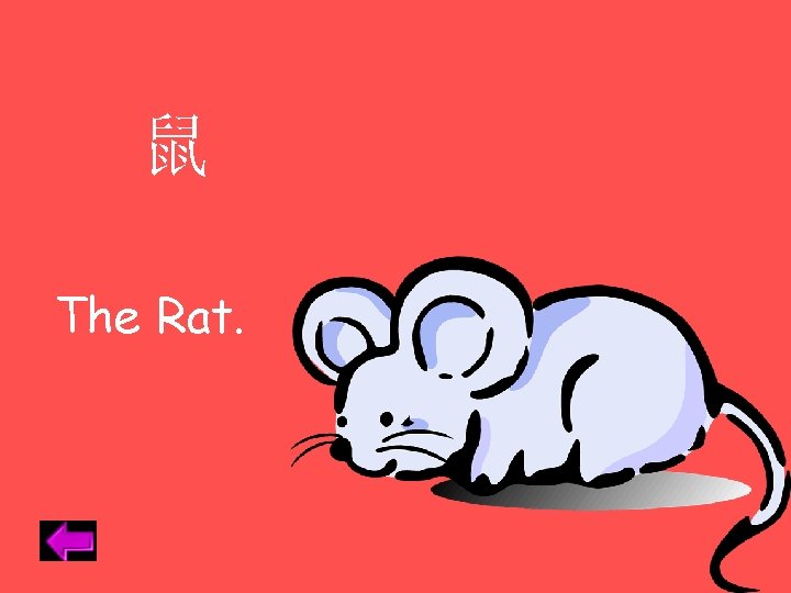 鼠 The Rat. 