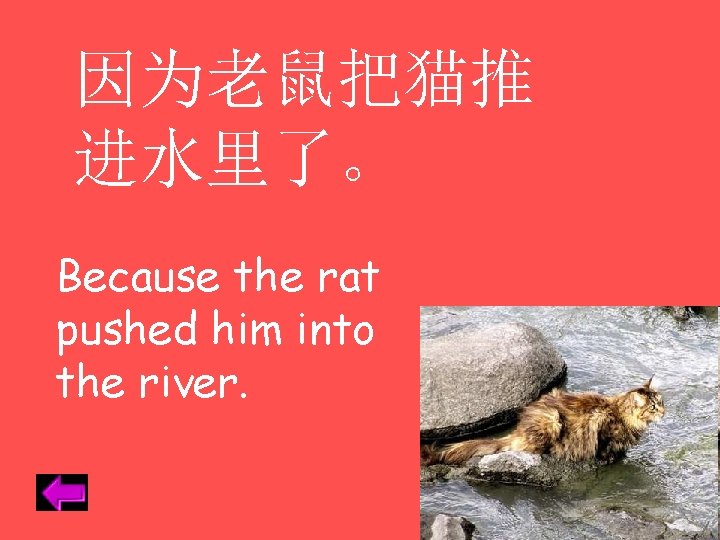 因为老鼠把猫推 进水里了。 Because the rat pushed him into the river. 